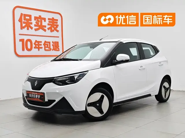 JMCG New Energy Little Kirin 2024 201km Comfort Model