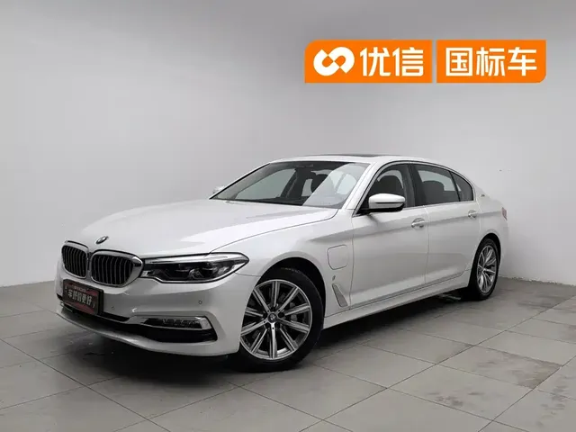 BMW 5 Series New Energy 2019 530Le Luxury Package