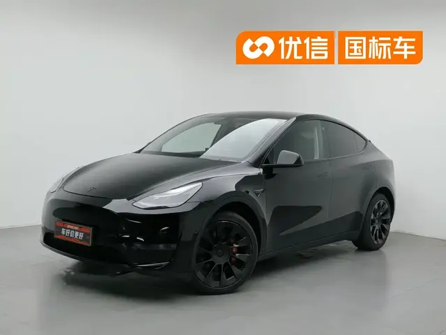 Tesla Model Y 2021 Long Range All-Wheel Drive 3D7