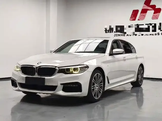 BMW 5 Series 2019 530Li Leading M Sport Package