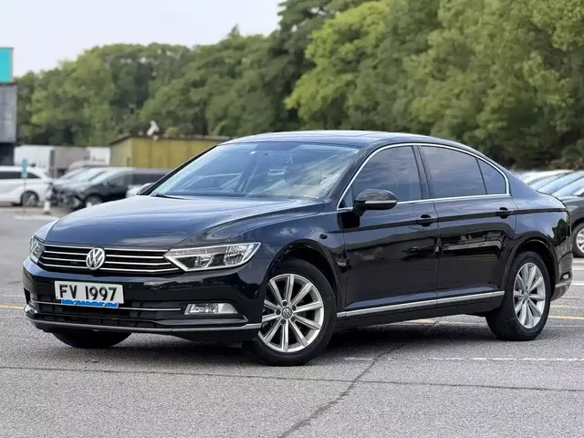 Volkswagen Magotan 2019 280TSI DSG Leading China VI