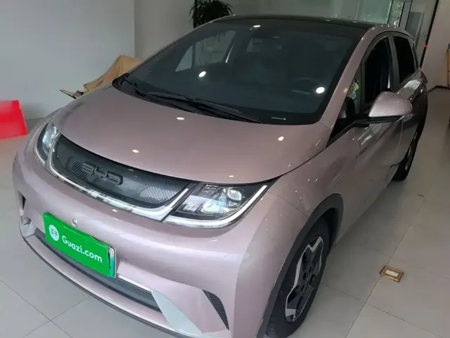 BYD Dolphin 2021 Model 405km Fashion Edition