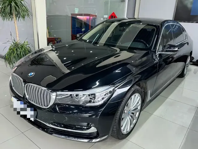 BMW 7 Series 2018 730Li Leading Type Excellence Package