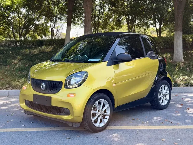 smart fortwo 2018 1.0L 52kW Hardtop Agile Edition China V