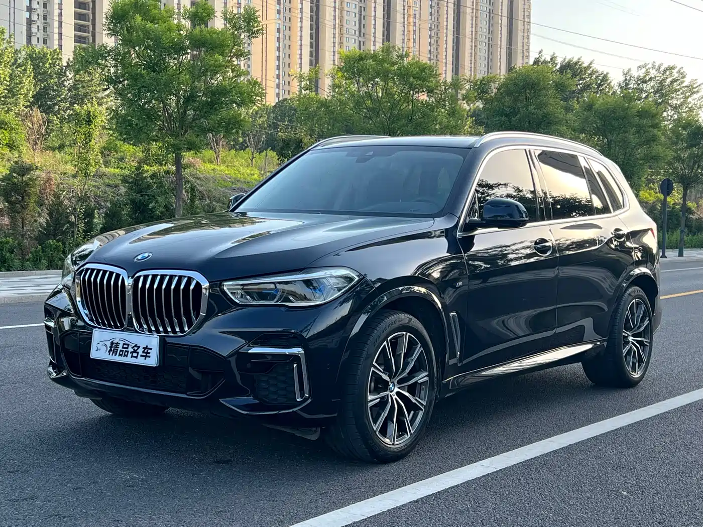 BMW X5 2022 xDrive 30Li Premium M Sport Package