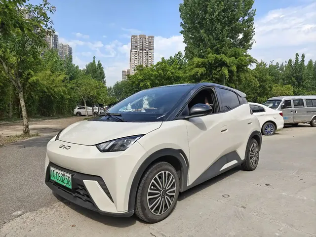BYD Seagull 2025 305km Vitality