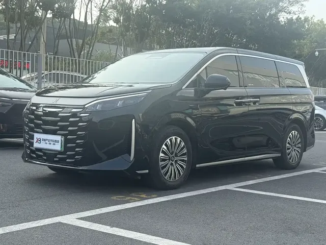 BYD Xia 2025 DM-i 1.5T 100km Surpass Edition