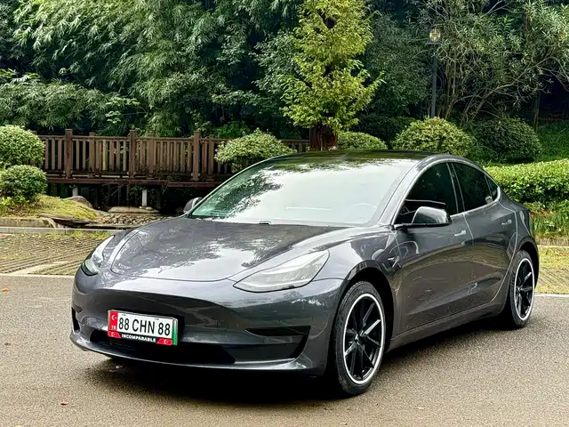 Tesla Model 3 2020 Standard Range Rear-Wheel Drive Upgrade