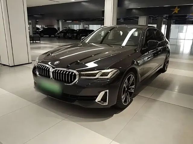 BMW 5 Series New Energy 2021 535Le Luxury Package