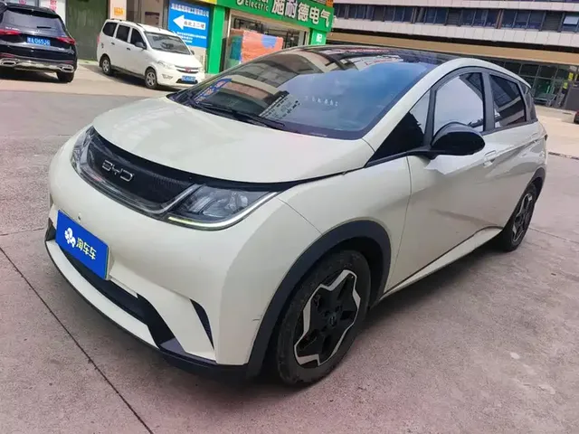 BYD Dolphin 2021 Model 405km Fashion Edition