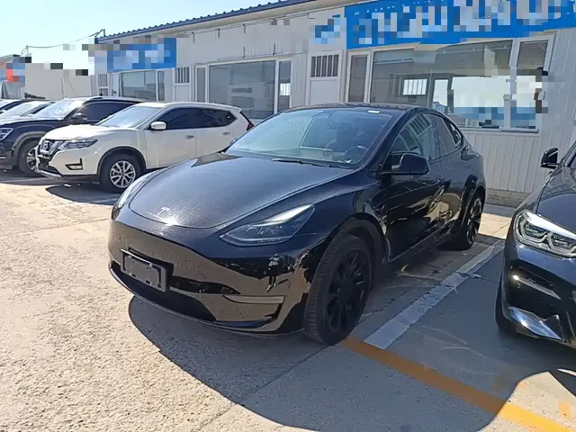 Tesla Model Y 2021 Standard Range Rear-Wheel Drive