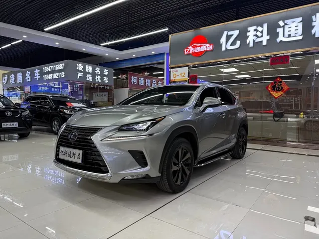 Lexus NX 2020 300h FWD Fengyue Edition China VI