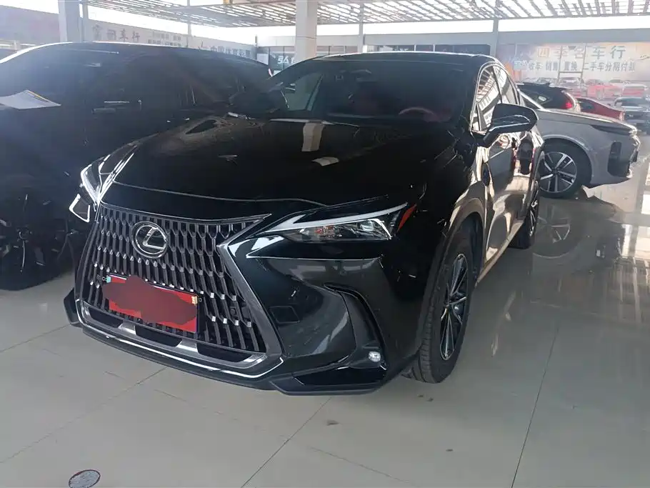 Lexus NX 2024 260 FWD Joy Creation Edition