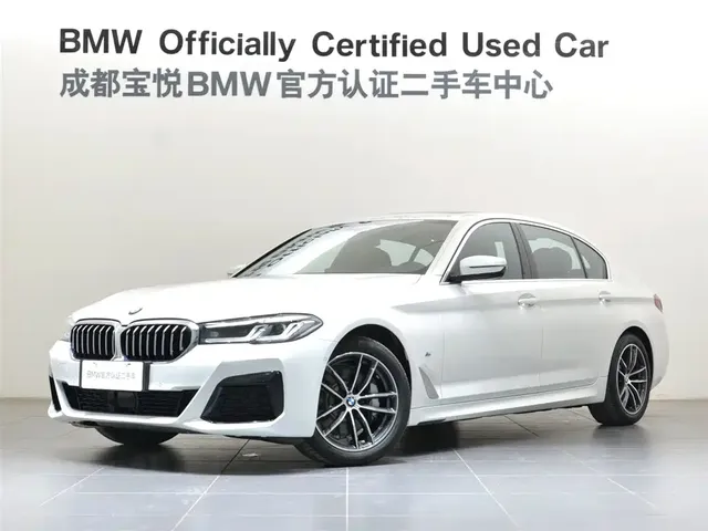 BMW 5 Series 2021 530Li Leading M Sport Package