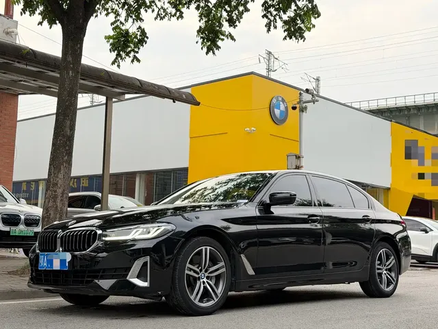 BMW 5 Series 2021 530Li Leading Luxury Package