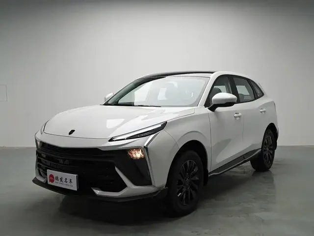 Dongfeng Fengxing T5 EVO 2024 Racing Edition 1.5TD DCT Gold