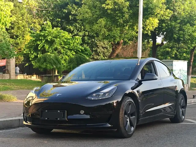 Tesla Model 3 2022 Model Rear-Wheel Drive Version