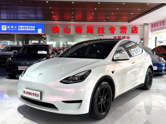 Tesla Model Y 2022 Rear-Wheel Drive Version