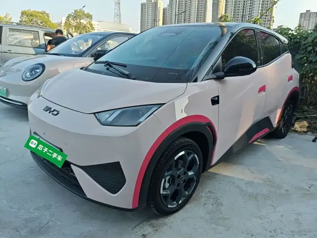 BYD Seagull 2025 Smart Drive Edition 305km Freedom Version