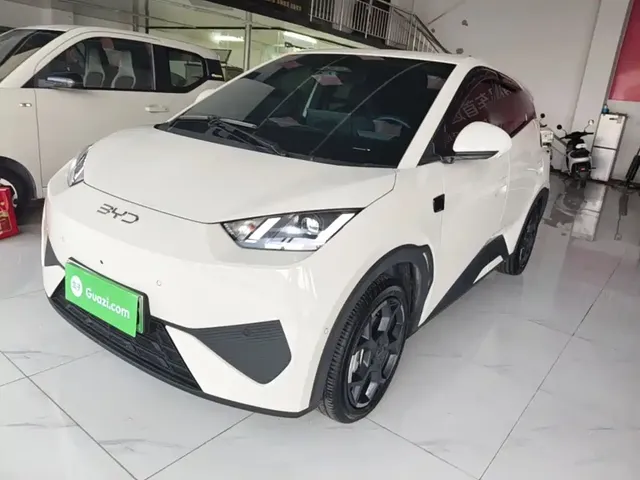 BYD Seagull 2025 Smart Drive Edition 305km Freedom Version