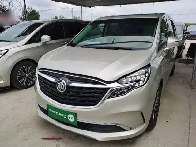 Buick GL8 2022 ES Landmark 653T Comfort