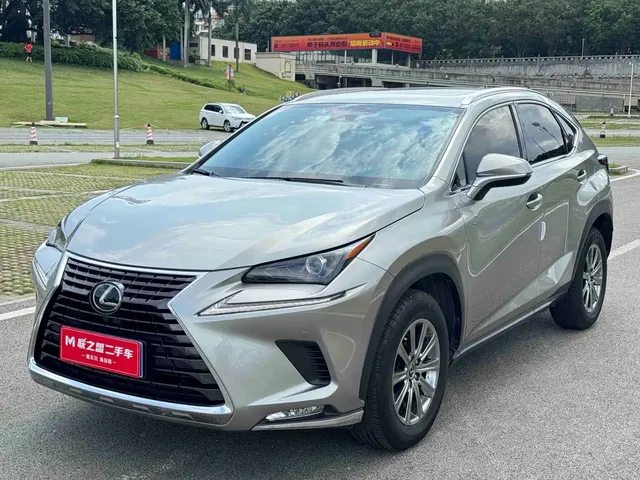 Lexus NX 2020 200 AWD F Sport China V
