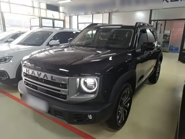 Haval Big Dog 2024 1.5T DCT Border Collie Edition