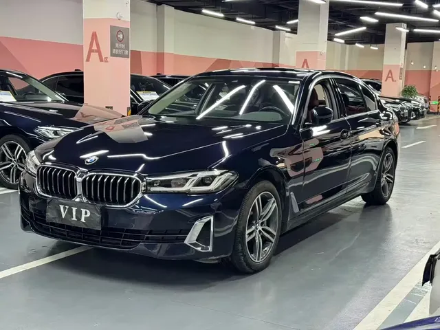BMW 5 Series 2021 530Li Leading Luxury Package
