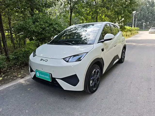 BYD Seagull 2025 Smart Drive Edition 305km Freedom Version
