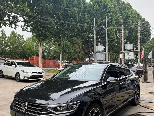 Volkswagen Magotan 2020 330TSI DSG Luxury