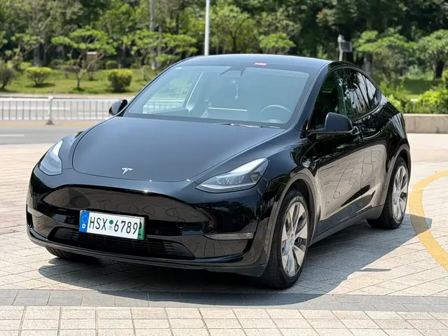 Tesla Model Y 2021 Standard Range Rear-Wheel Drive