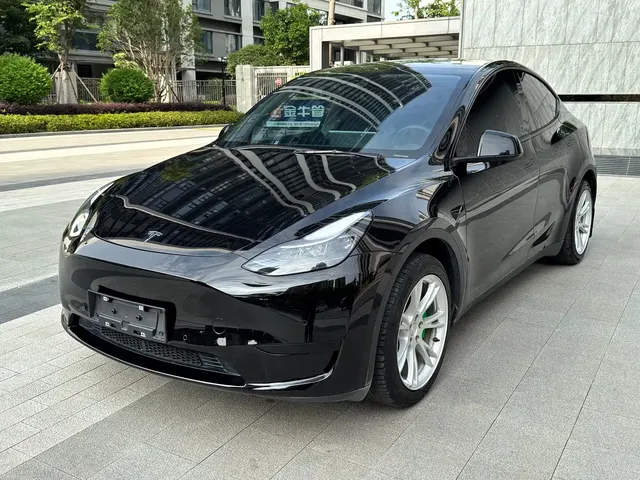 Tesla Model Y 2022 Rear-Wheel Drive Version