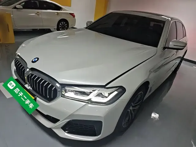 BMW 5 Series 2023 530Li Leading M Sport Package