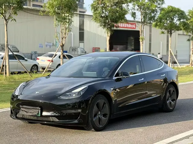 Tesla Model 3 2020 Facelift Long Range Rear-Wheel Drive