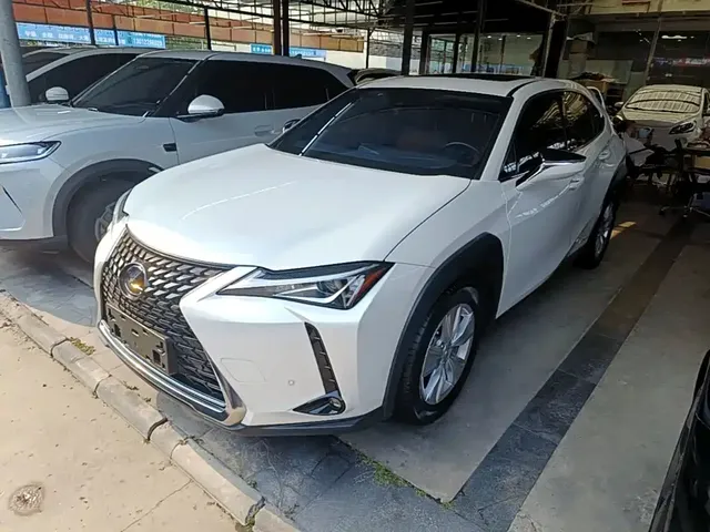 Lexus UX 2020 260h Explore Fun Edition