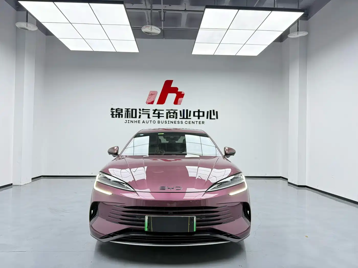 BYD Seal 07 DM-i 2025 Smart Drive Edition DM-i 1.5L 125km Luxury