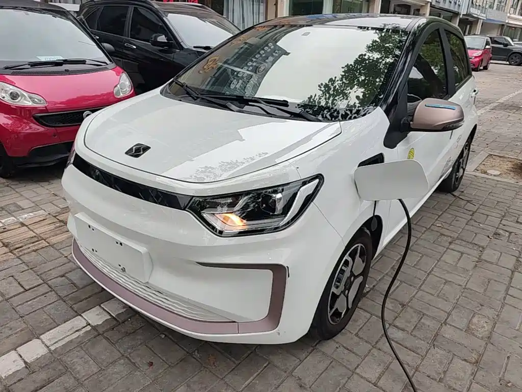 Sehol Flower Fairy 2021 Jimei Edition 302km Luxury