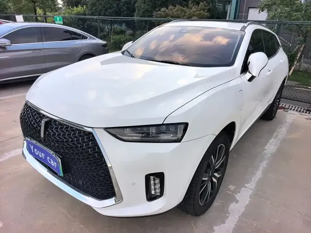 WEY P8 2018 2.0T Flagship Model