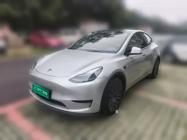 Tesla Model Y 2023 Rear-Wheel Drive Edition