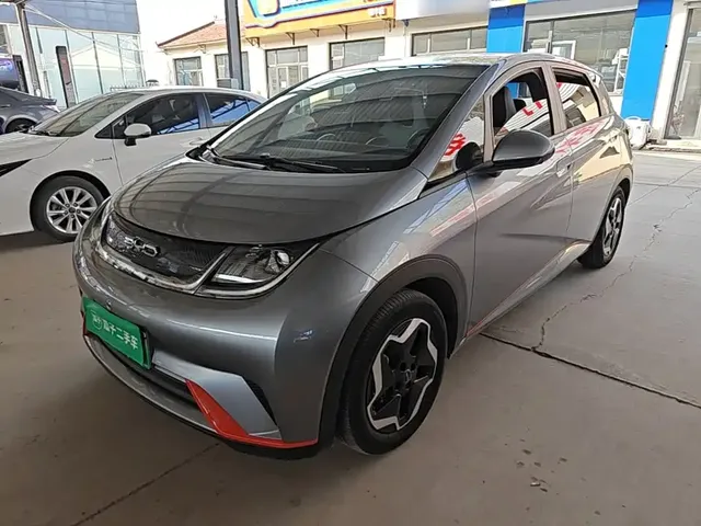 BYD Dolphin 2021 401km Knight Edition