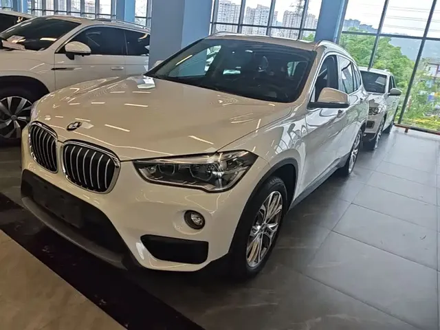 BMW X1 2019 sDrive20Li Leading Model