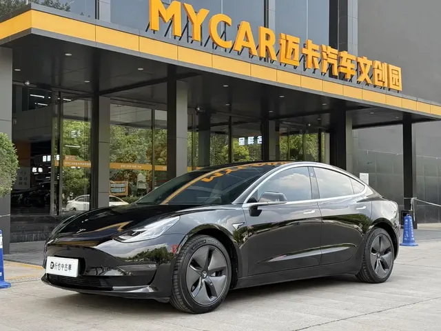 Tesla Model 3 (Import) 2019 Long Range RWD Version