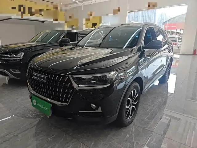 Haval H6 2023 National Trend Edition 1.5T Automatic Urban