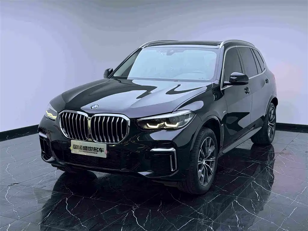 BMW X5 2022 xDrive 30Li M Sport Package