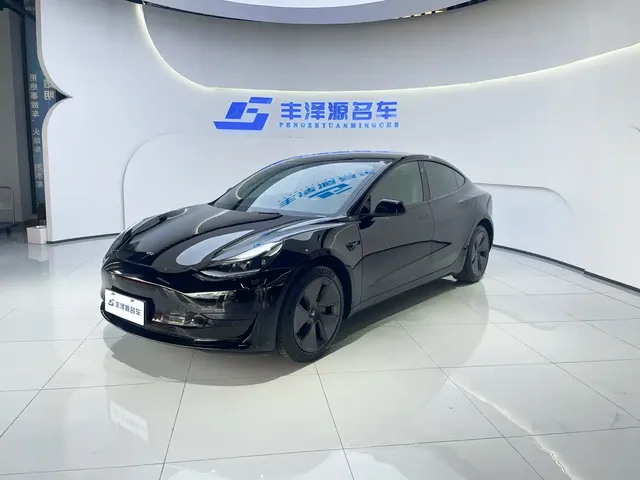 Tesla Model 3 2022 Model Rear-Wheel Drive Version