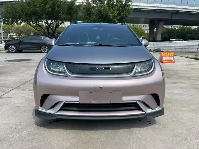 BYD Dolphin 2021 401km Knight Edition