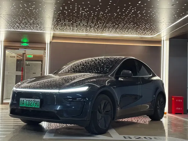 Tesla Model Y 2025 Rear-Wheel Drive