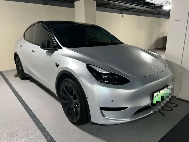 Tesla Model Y 2022 Rear-Wheel Drive Version