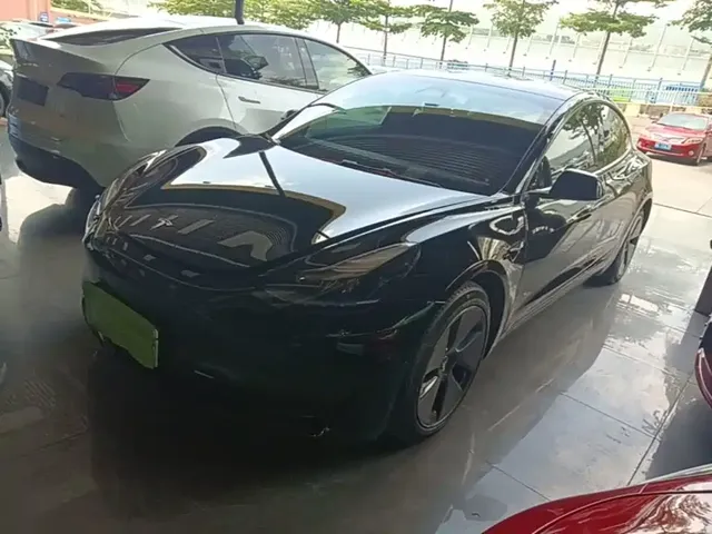 Tesla Model 3 2022 Model Rear-Wheel Drive Version