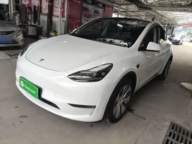 Tesla Model Y 2021 Standard Range Rear-Wheel Drive